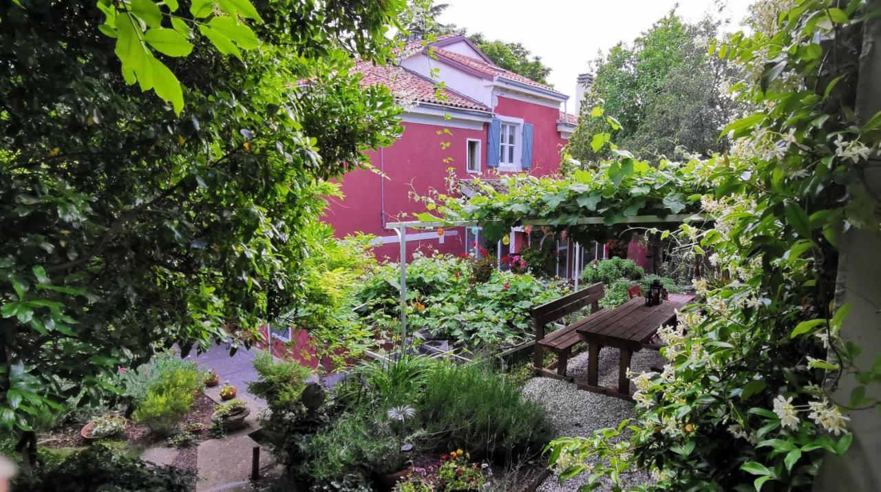 Charming Apartment In A 19Th Century Villa Trieste Eksteriør billede