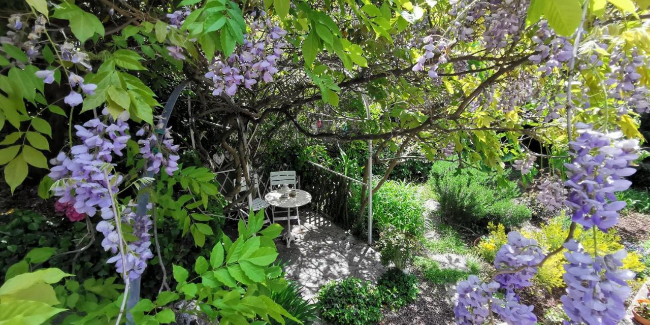 Charming Apartment In A 19Th Century Villa Trieste Eksteriør billede