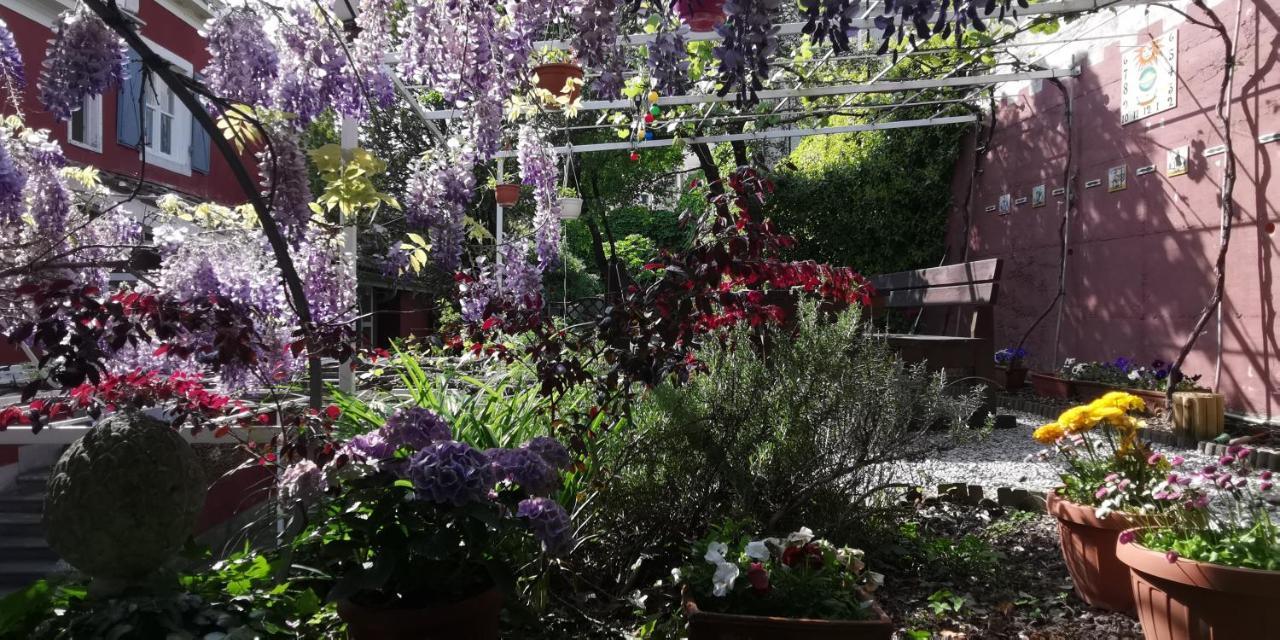 Charming Apartment In A 19Th Century Villa Trieste Eksteriør billede